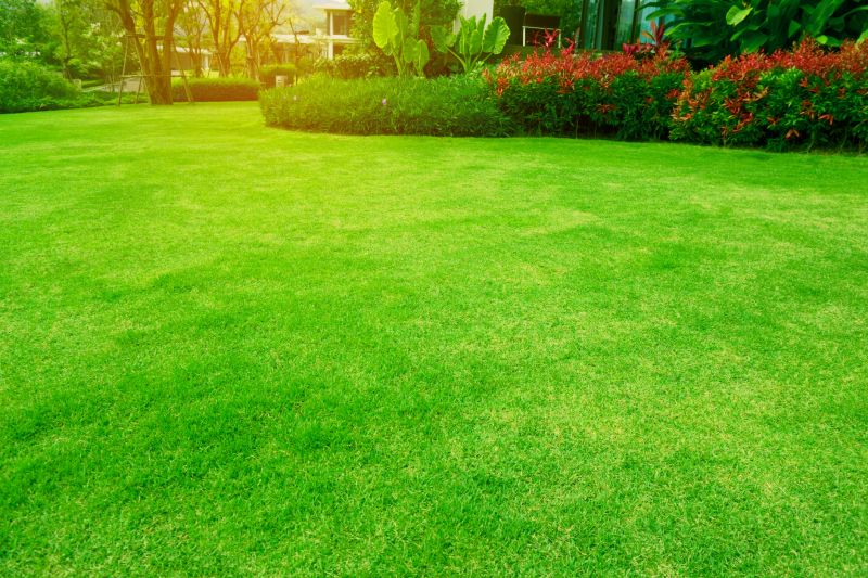 Lawn Size