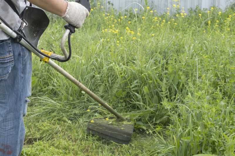 Trimming Overgrown Grass