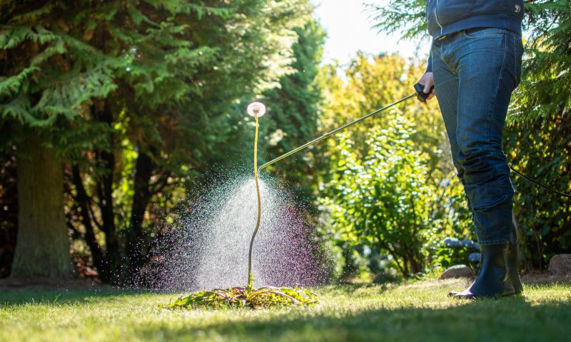 Lawn Herbicide Treatment in Ventura County, CA