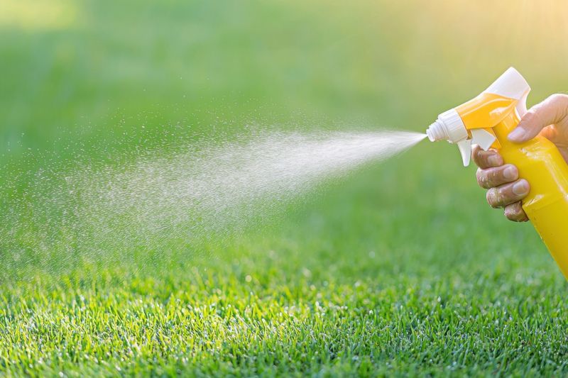 Lawn Spraying in Aiken, SC