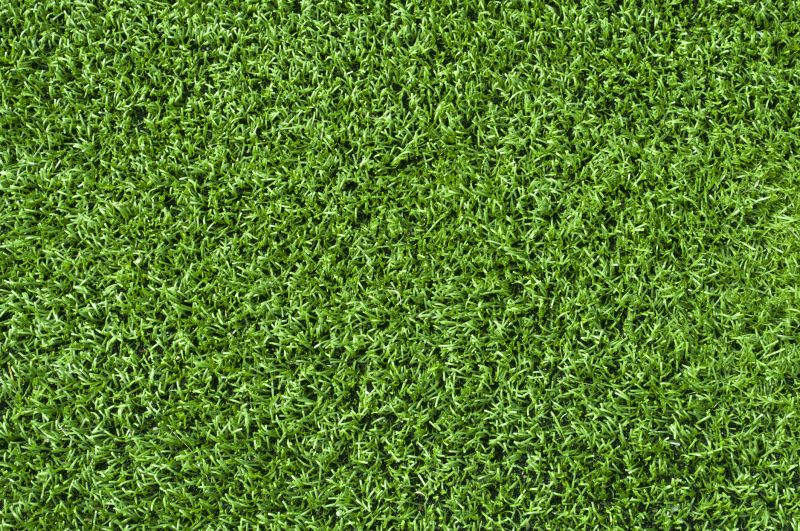 Healthy Turf