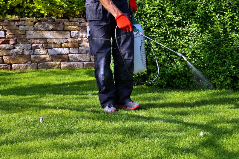 Lawn Weed Spraying in Honolulu, HI