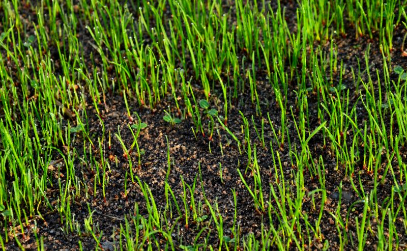 Seasonal Considerations