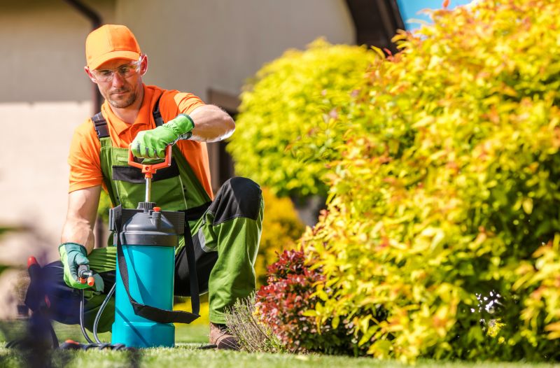 Yard Treatment Service in Ventura County, CA